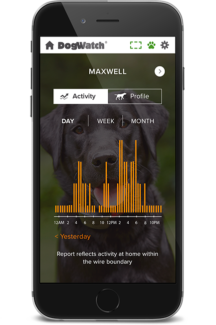 Quad Cities Area DogWatch, Long Grove, Iowa | SmartFence WebApp Image