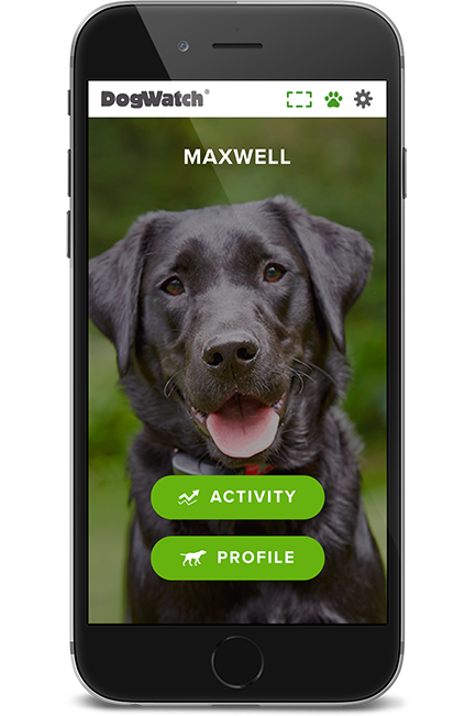 Quad Cities Area DogWatch, Long Grove, Iowa | SmartFence WebApp Image