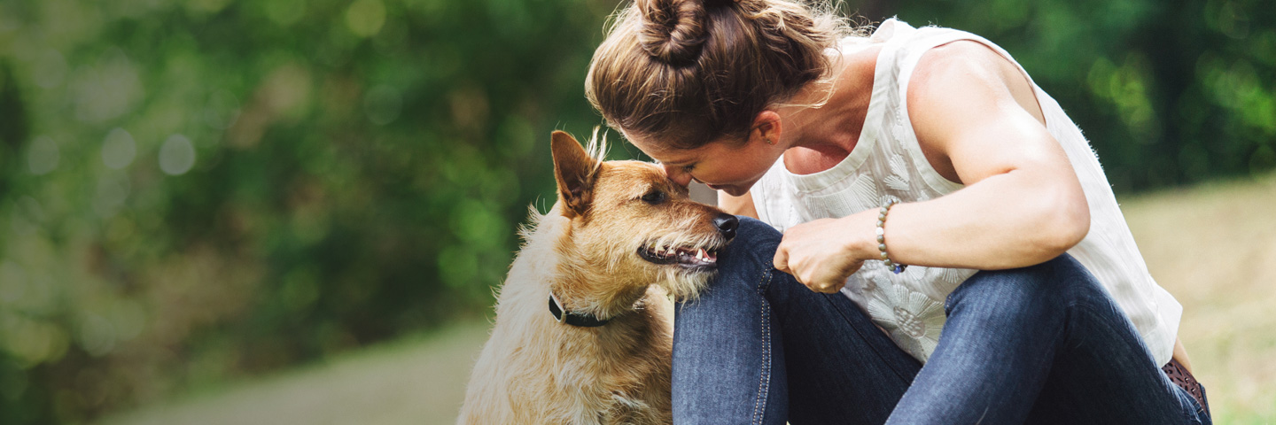 Quad Cities Area DogWatch, Long Grove, Iowa | BarkCollar No-Bark Trainer Slider Image